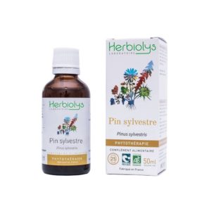 Pin Sylvestre 50ML Concentré Herbiolys BIO - Herboristerie du Marais Paris