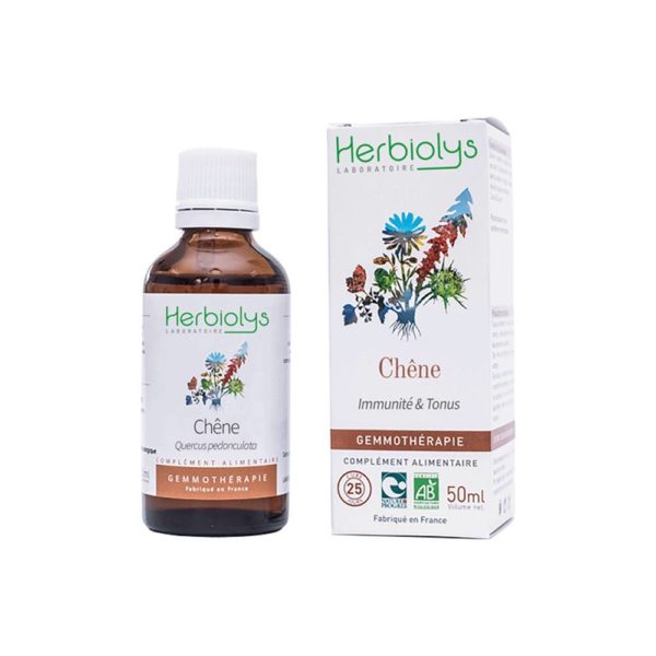 chene-bourgeon-bio-gemmotherapie herbiolys
