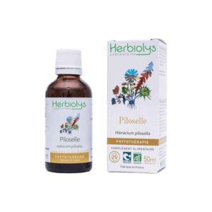 piloselle-extrait-de-plante-fraiche-bio herbiolys